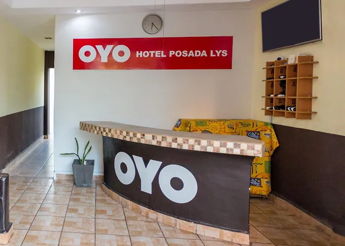 Oyo Lys, Zihuatanejo